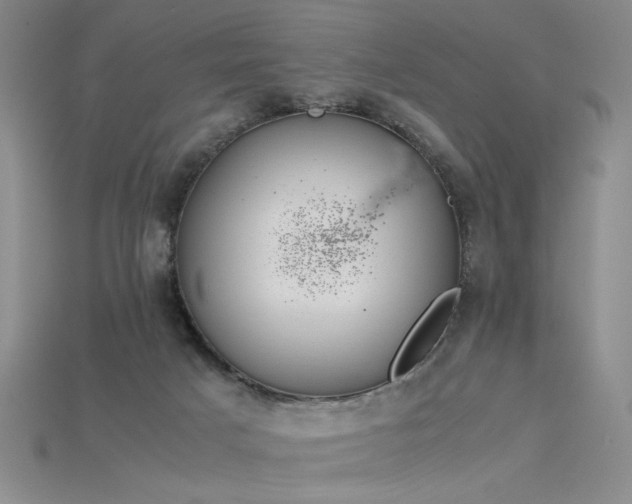 X0000115780025200911131257