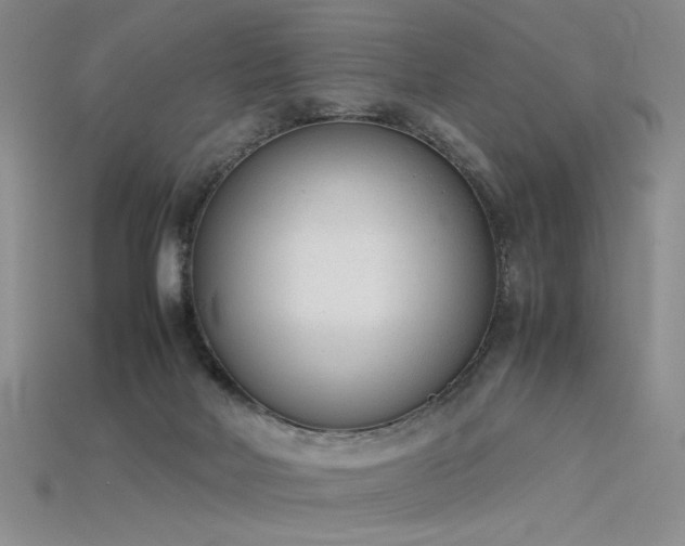 X0000115780026200911131257