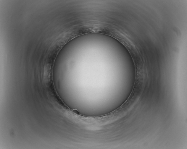 X0000115780030200911131257