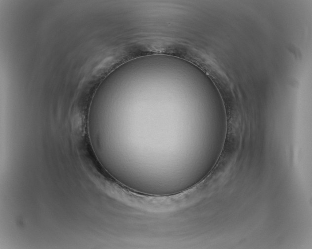 X0000115780031200911131257