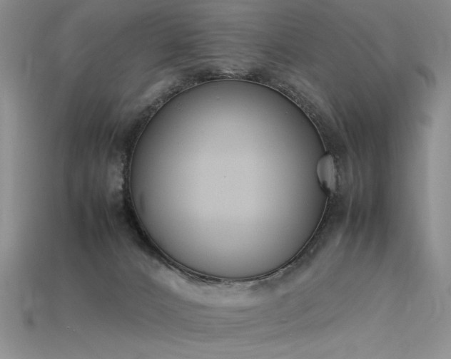 X0000115780032200911131257
