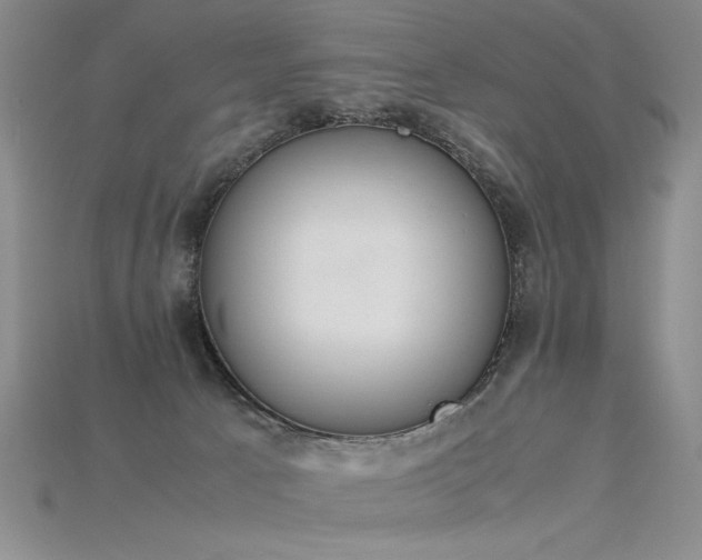 X0000115780033200911131257