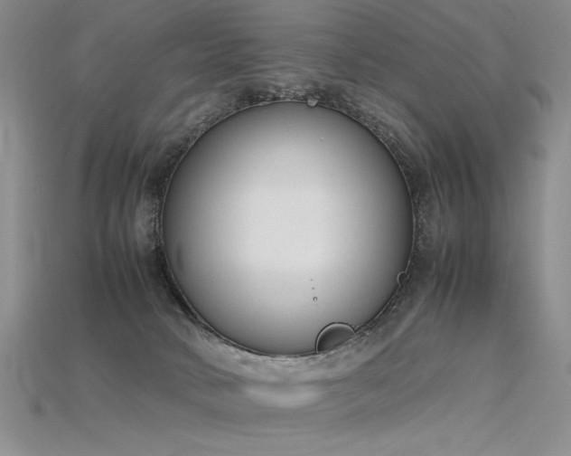 X0000115780034200911131257