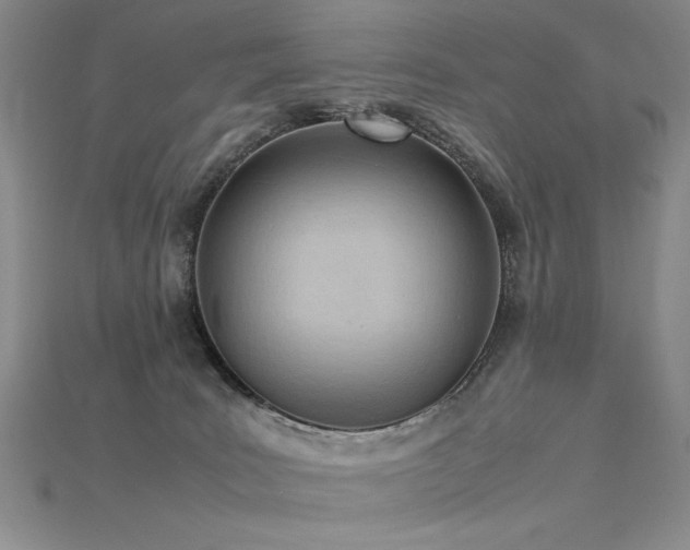 X0000115780035200911131257