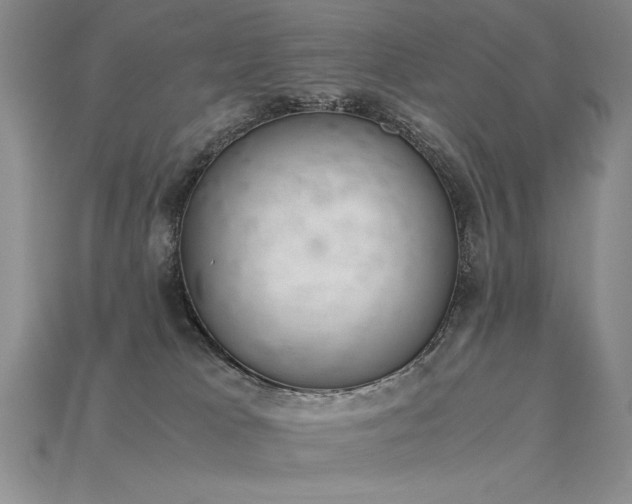 X0000115780037200911131256