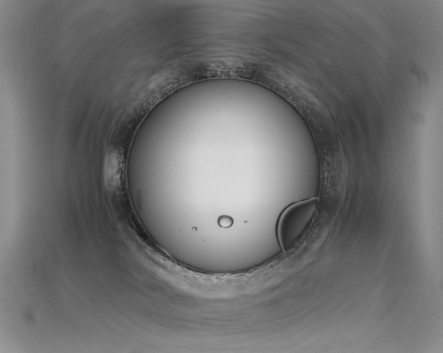 X0000115780038200911131256