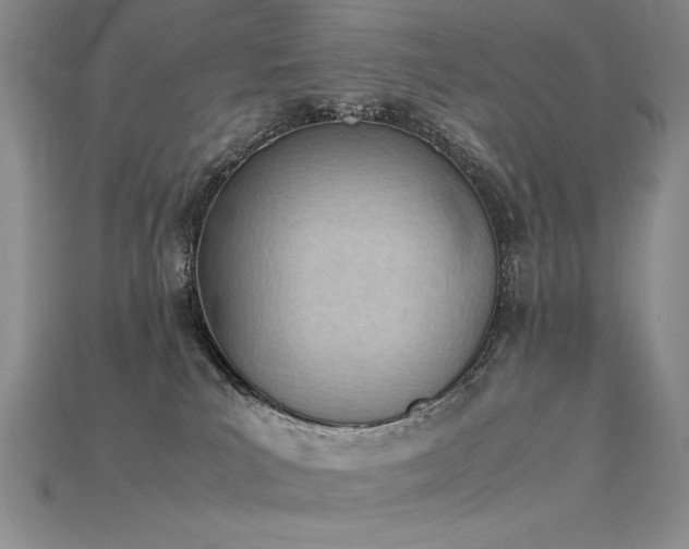 X0000115780039200911131256