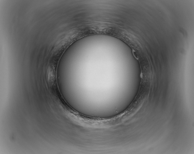 X0000115780040200911131256