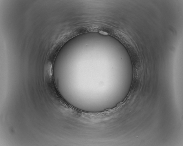 X0000115780041200911131256