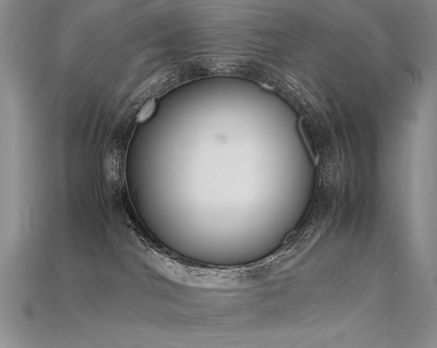X0000115780044200911131256