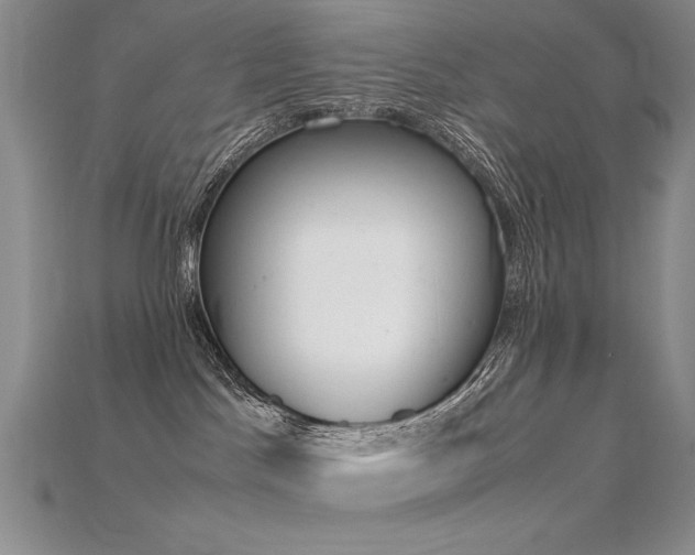 X0000115780045200911131256