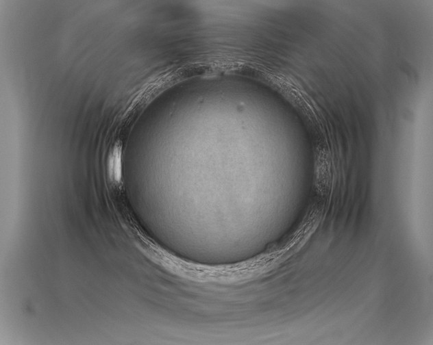X0000115780046200911131256