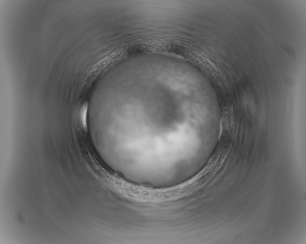 X0000115780047200911131256