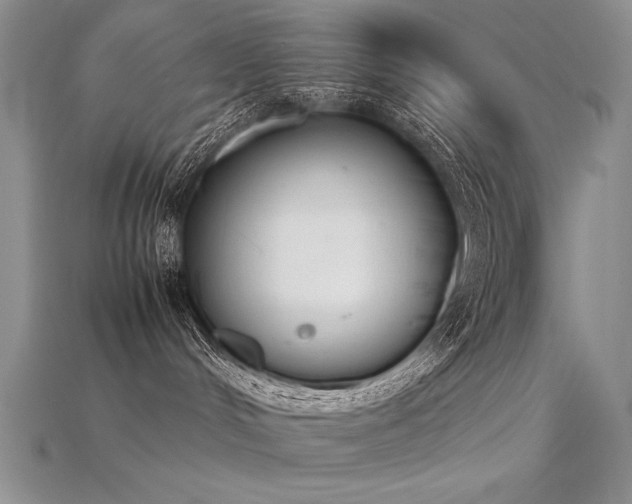 X0000115780048200911131256