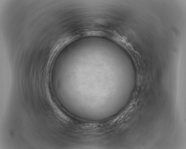 X0000115780049200911131256