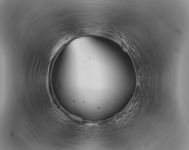 X0000115780052200911131256