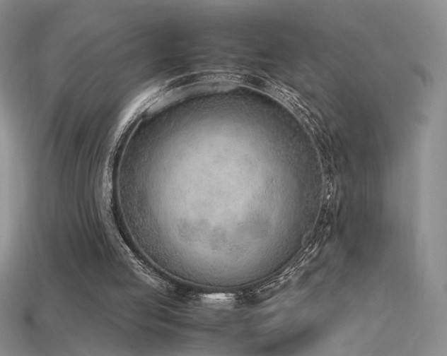 X0000115780053200911131256
