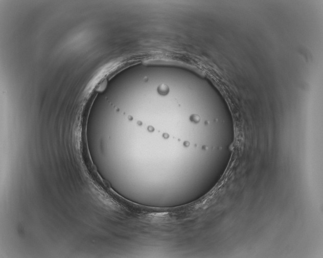X0000115780054200911131256