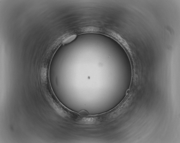 X0000115780057200911131256