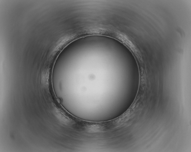 X0000115780058200911131256