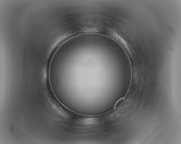 X0000115780059200911131256