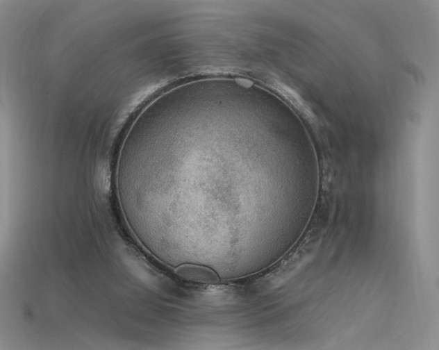 X0000115780060200911131256
