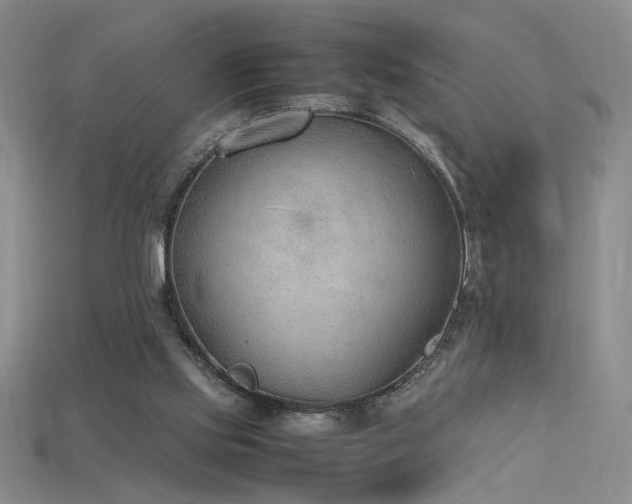 X0000115780061200911131256