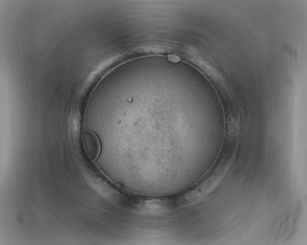 X0000115780064200911131256