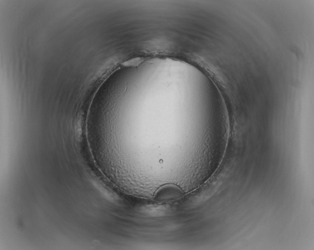 X0000115780065200911131256
