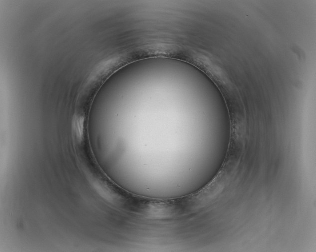 X0000115780070200911131256
