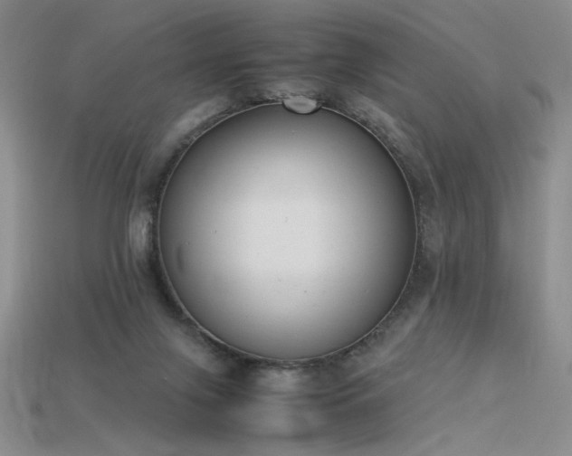 X0000115780071200911131256
