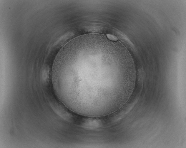 X0000115780073200911131256