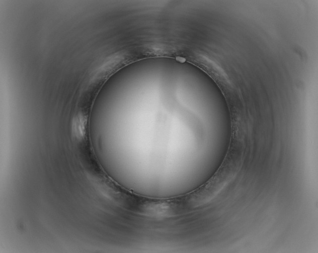 X0000115780075200911131256