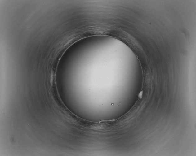 X0000115780076200911131256