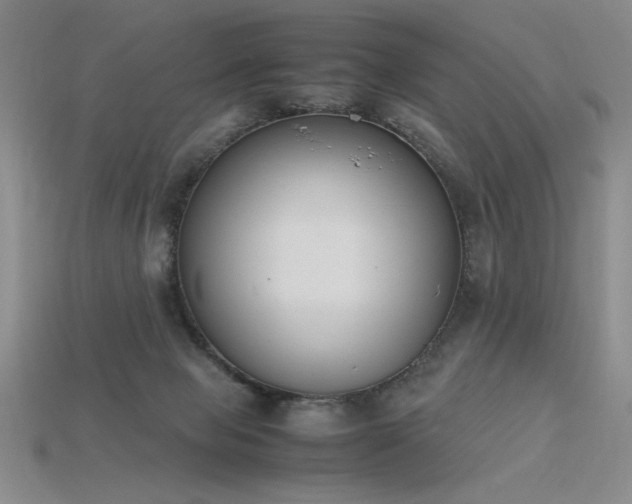 X0000115780077200911131256
