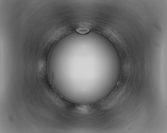 X0000115780079200911131256