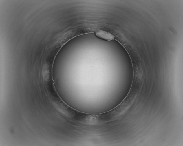 X0000115780080200911131256