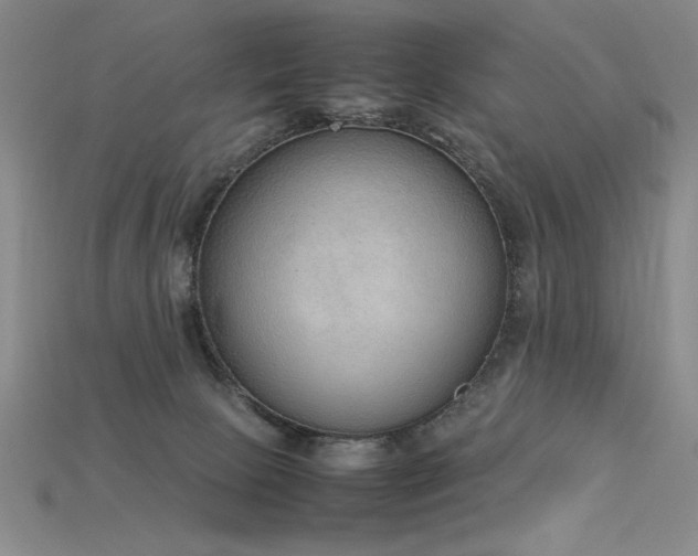 X0000115780081200911131256