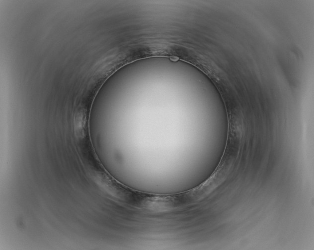 X0000115780082200911131256