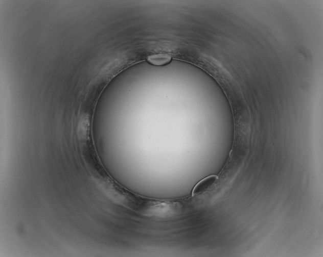 X0000115780083200911131256