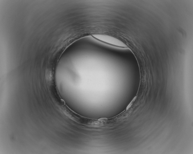 X0000115780084200911131256