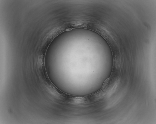 X0000115780085200911131256