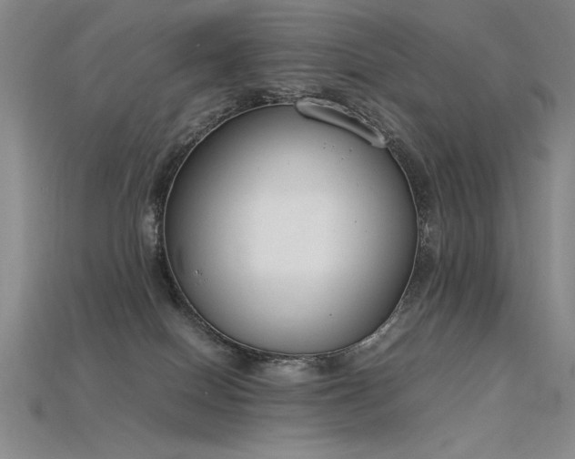 X0000115780086200911131256