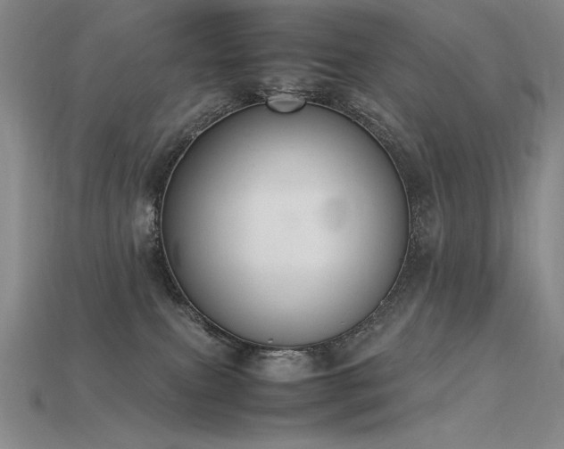 X0000115780087200911131256