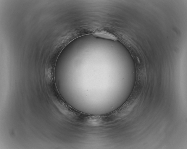 X0000115780088200911131256