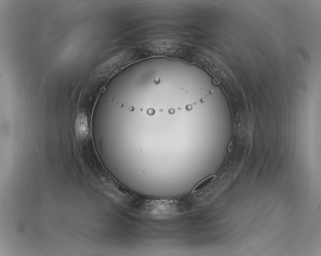 X0000115780089200911131256