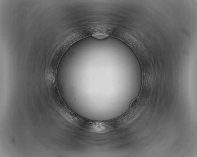X0000115780091200911131256