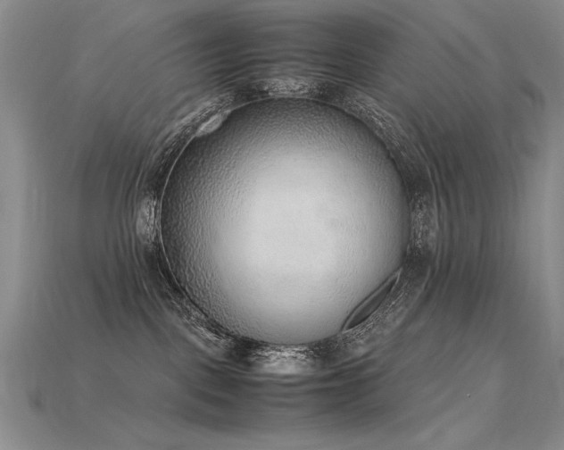 X0000115780093200911131256
