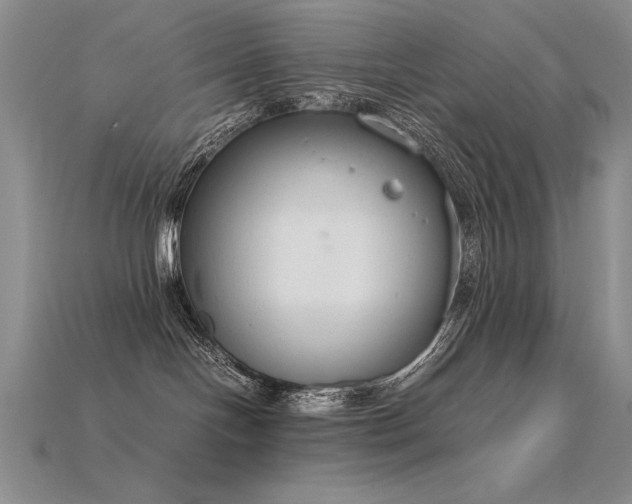 X0000115780094200911131256