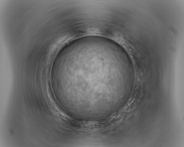 X0000115780097200911131256
